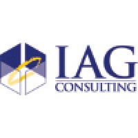 IAG Consulting logo - Similar company to Partner & Scale