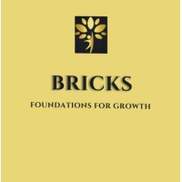 BRICKS logo - Similar company to Excel Software Services