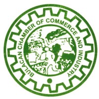 Bulacan Chamber of Commerce and Industry logo - Similar company to First Circle Capital Solutions Advisor - Baliwag, Bulacan