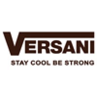 Versani logo - Similar company to Vstech