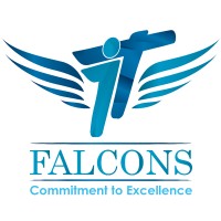 IT Falcons logo - Similar company to We Host Technologies