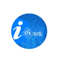 Info Guru logo - Similar company to Infoguru