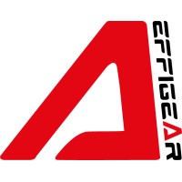 EFFIGEAR logo - Similar company to Motion Engineering