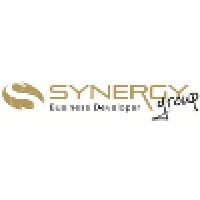 Synergy Group Business Developer logo - Similar company to Strongside Solutions