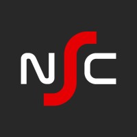 NetSafe Corp logo - Similar company to Accyber
