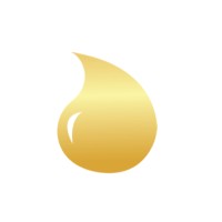 ALL SHINE logo - Similar company to Bazingaapp
