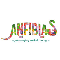 Asociación Anfibias