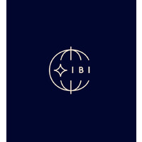 International Business Institute logo - Similar company to Maxxis Do Brasil