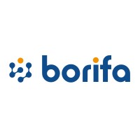 Borifa logo - Similar company to Teblick: Plastic Constructions & Installations