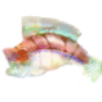 Fishace Ecological Engineering