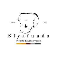 Siyafunda Wildlife & Conservation logo - Similar company to Budget Leisure Travel