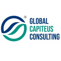 GLOBAL CAPITEUS CONSULTING logo - Similar company to Findigit