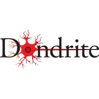 Dondrite logo - Similar company to Jordan Montessori Lyceum Utrecht
