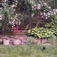 Land & Garden Management Services