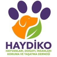 Haydiko Derneği logo - Similar company to Bcg Holdings