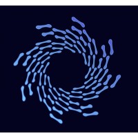 IT Futuro logo - Similar company to Takżyli