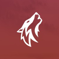 Digital Wolf's Creative Agency logo - Similar company to Zapine Technologies