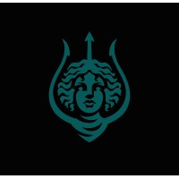 Syren Amsterdam logo - Similar company to Solved