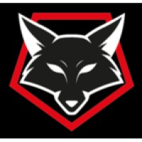 NIGHTFOX INVESTIGATIONS AND DEBT RECOVERY LIMITED logo - Similar company to Night Fox