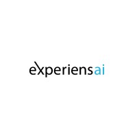 experiens AI logo - Similar company to Flexvpc S.L