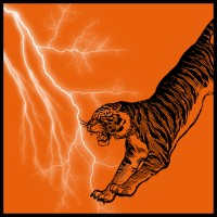 Lightning Tigers Martial Arts Academy logo - Similar company to Wushu Central'S Kung Fu Kids