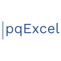 pqExcel Solutions LLP logo - Similar company to Abps Solution Pvt Ltd