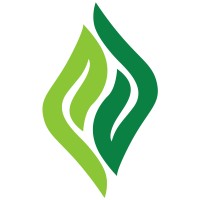 Prime Pakistani logo - Similar company to Seo Site Checker
