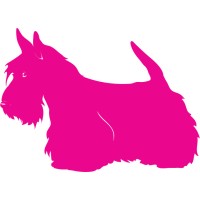 Pink Scottie Ltd logo - Similar company to Techsapiens