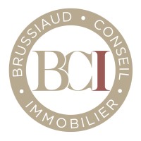Brussiaud Conseil Immobilier logo - Similar company to Plafond Tendu Solutions