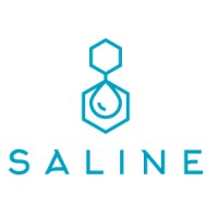 Saline Network logo - Similar company to Qredo Ltd