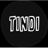 TINDI logo - Similar company to Tindi Agency