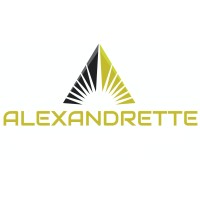 Alexandrette Uluslararası Denetim ve Gözetim Tic.Ltd.Şti logo - Similar company to Surge Power A. Ş.