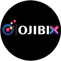 OJIBIX logo - Similar company to Photoalter.Com