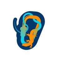 Omanosaura logo - Similar company to Swift Technical Solutions L.L.C