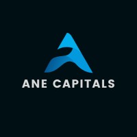 ANE Capitals logo - Similar company to Asia New Energy Microelectronics
