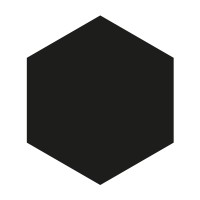 Wild Wild Web logo - Similar company to Vaux Digital