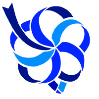 IB League -Okinawa logo - Similar company to Okinawa
