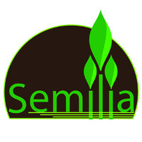 Semilia logo - Similar company to Serealys
