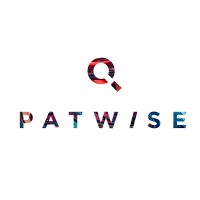 Patwise Consulting Solutions logo - Similar company to Mr Technollect Solutions