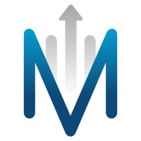 Mevesi logo - Similar company to Cybyte