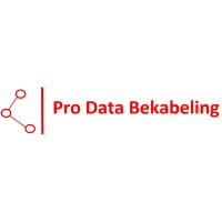Pro Data Bekabeling logo - Similar company to Blue Ict