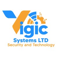 VIGIC SYSTEMS LTD logo - Similar company to Sky World Limited