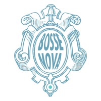 Bosse Nova logo - Similar company to Re-Create! Bv
