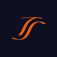 TALENTS & STRATEGIE logo - Similar company to Mpipartners - Management De La Transition