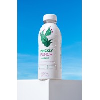 Prickly Punch logo - Similar company to Oasis Snacks