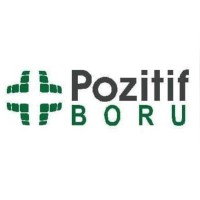 Pozitif Boru logo - Similar company to Si̇m Platform
