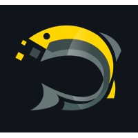 DrumFish Digital logo - Similar company to Brandicoot