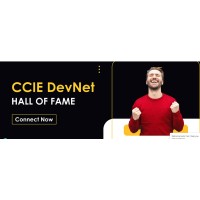 CCIE DevNet Training logo - Similar company to Devnet Academy