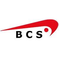 BCS - Business Consulting Support Cyprus logo - Similar company to Business Consulting Support