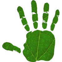 Hands-On Institute logo - Similar company to Southern Regional Extension Forestry